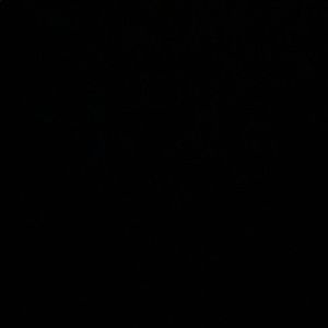 Meet your Posher, Chelsea